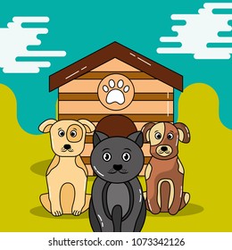 pet cat and dog