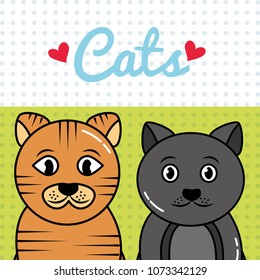 pet cat and dog