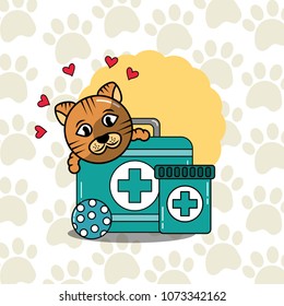 pet cat and dog