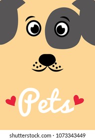 pet cat and dog