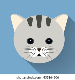 Pet cat flat icon with long shadow,eps10