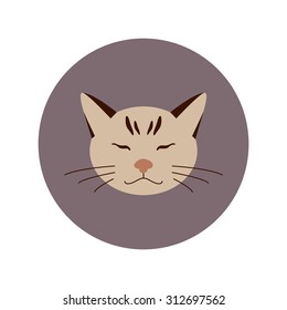 Pet cat flat icon  vector