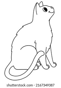 Pet cat, sits and looks up. Vector, children coloring book.