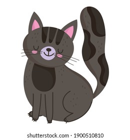 pet cat sitting animal feline cartoon in flat style vector illustration