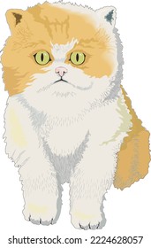 Pet Cat Sitting Vector Illustration
