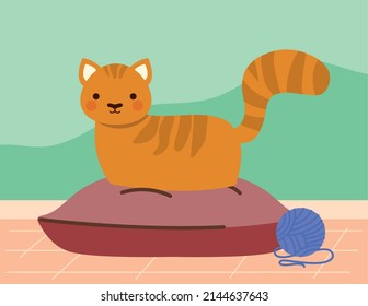 pet cat and toy wool ball