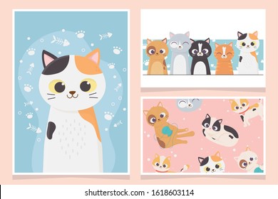 pet cats adorable playing fishbone paw cartoon cards vector illustration