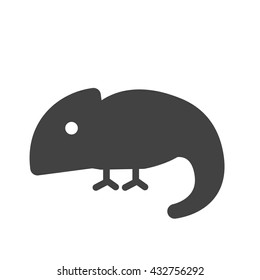 Pet Chameleon