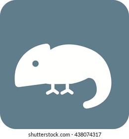 Pet Chameleon