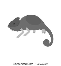 Pet Chameleon