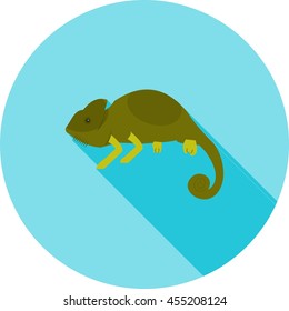 Pet Chameleon