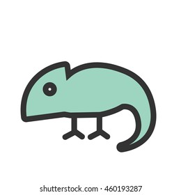 Pet Chameleon