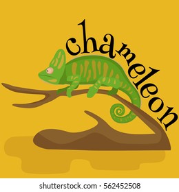 pet chameleon for home, lizard and reptile isolated vector pictograms