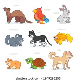 Pet characters design collection. Cartoon animals set. Ferret, parrot, rabbit, chinchilla, cat, gold fish, hamster, dog, turtle. 
