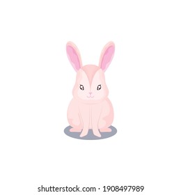 pet, cute rabbit animal domestic white background vector illustration
