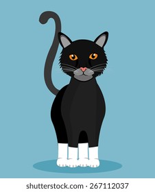 Pet design over blue background, vector illustration.