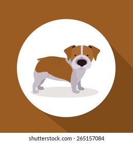 Pet design over brown background,vector illustration