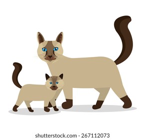 Pet design over white background, vector illustration.