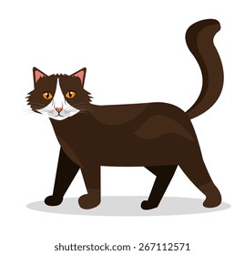 Pet design over white background, vector illustration.