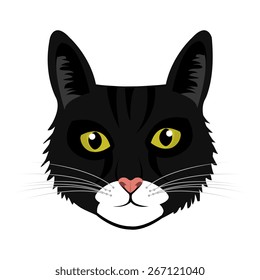 Pet design over white background, vector illustration.