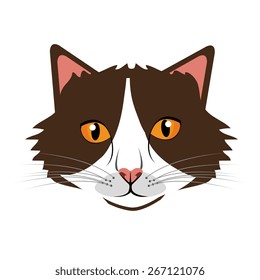 Pet design over white background, vector illustration.