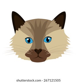 Pet design over white background, vector illustration.