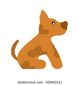 Pet Dog