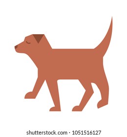 pet dog animal domestic image