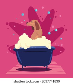 pet dog bathing character scene