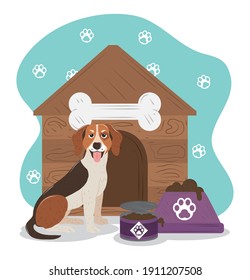 pet dog beagle breed house and bowl with food vector illustration