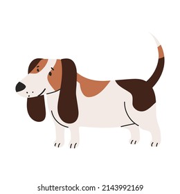 pet dog beagle icon flat