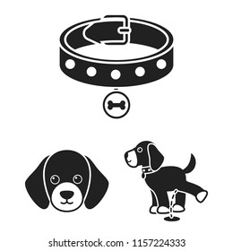 Pet dog black icons in set collection for design. Caring for the puppy vector symbol stock web illustration.
