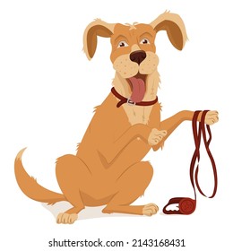 Pet, dog breed golden retriever. A collar, a leash with a tape measure for walking.Vector illustration, cartoon isolated on white