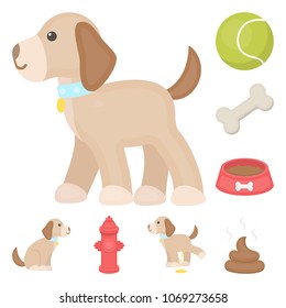 Pet dog cartoon icons in set collection for design. Caring for the puppy vector symbol stock web illustration.