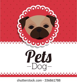 pet dog design, vector illustration eps10 graphic 