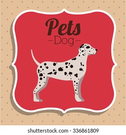 pet dog design, vector illustration eps10 graphic 