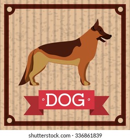 pet dog design, vector illustration eps10 graphic 
