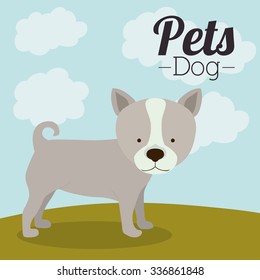 pet dog design, vector illustration eps10 graphic 