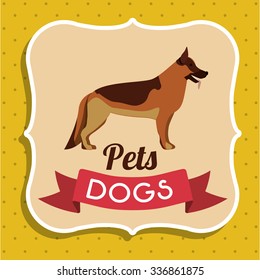 pet dog design, vector illustration eps10 graphic 