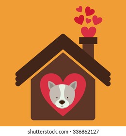 pet dog design, vector illustration eps10 graphic 