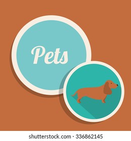 pet dog design, vector illustration eps10 graphic 