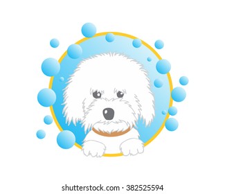 pet dog doggies doggy poodle bubble image icon