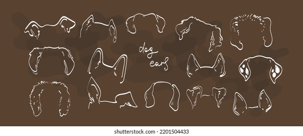 Pet dog Ears Outline Drawing doodle sketh vector icon illustration