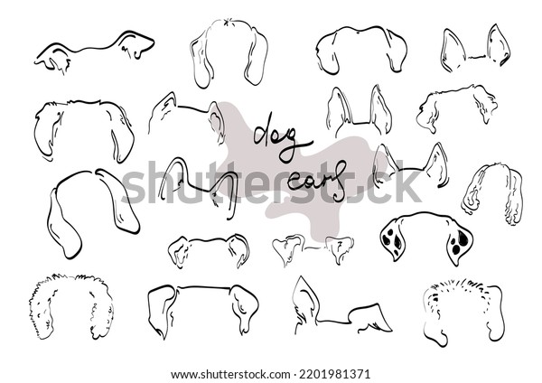 Pet Dog Ears Outline Drawing Doodle Stock Vector (Royalty Free ...