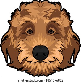 Pet dog face Illustration / Vector  
