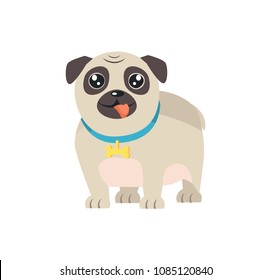 Pet dog in flat design cartoon style with bone on collar vector illustration of cute domestic animal isolated on white, friendly bulldog puppy isolated on white