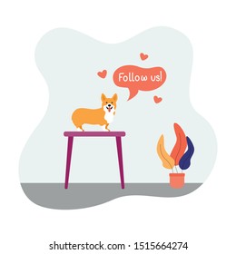 Pet, Dog Grooming Salon Isolated Vector Illustration Follow Us 