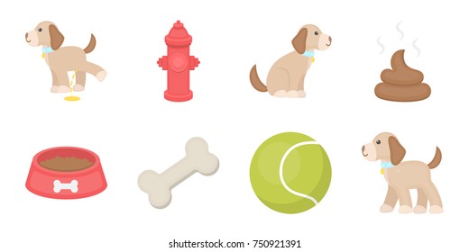 Pet dog icons in set collection for design. Caring for the puppy vector symbol stock  illustration.