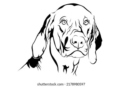 pet dog line art vector image.