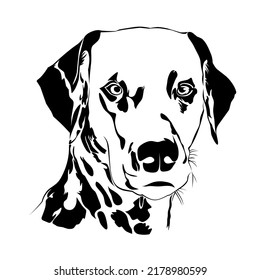 pet dog line art vector image.